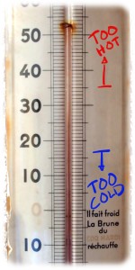 Thermometer